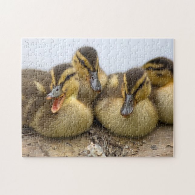 Puzzle EE.UU., Washington, Seattle, Lago Washington (Horizontal)