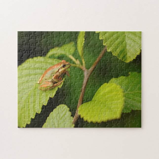 Puzzle EE. UU., Washington, Seattle, Parque Discovery (Horizontal)