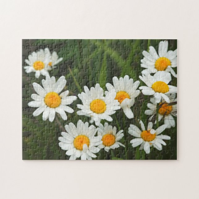 Puzzle EE. UU., Washington, Seattle, Puget Sound 3 (Horizontal)