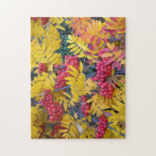Puzzle EE. UU., Washington, Serbal de Sitka, Okanogan