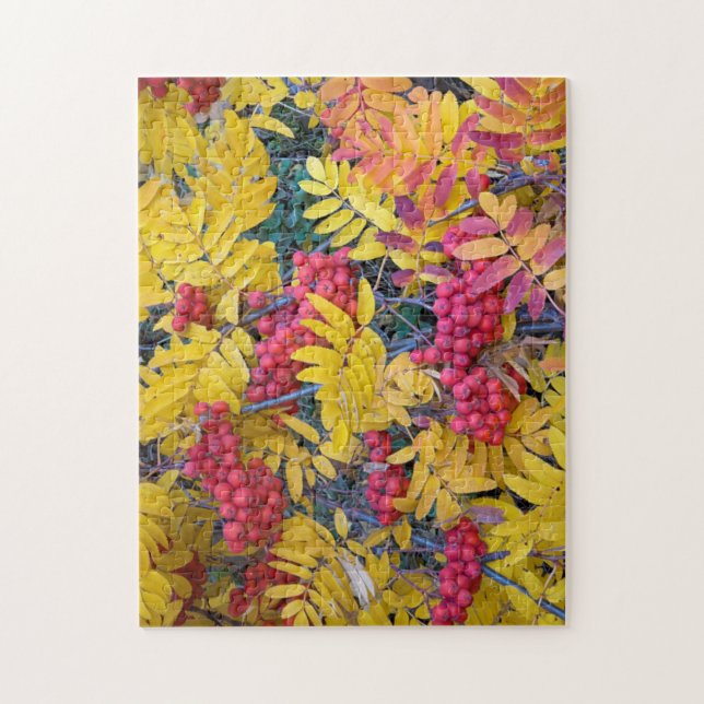 Puzzle EE. UU., Washington, Serbal de Sitka, Okanogan (Vertical)
