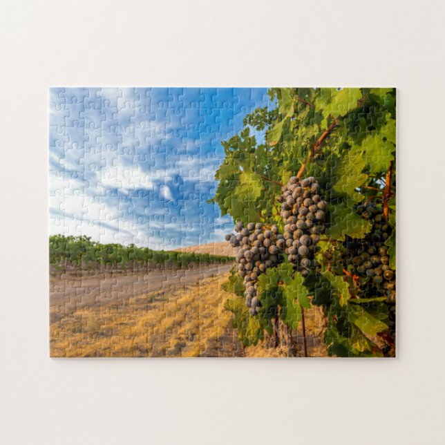 Puzzle EE. UU., Washington, Valle de Yakima. Uvas Merlot (Horizontal)