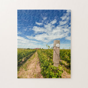 Puzzle EE. UU., Washington, Walla Walla. Cabernet Sauvign