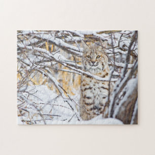 Puzzle EE. UU., Wyoming, Bobcat