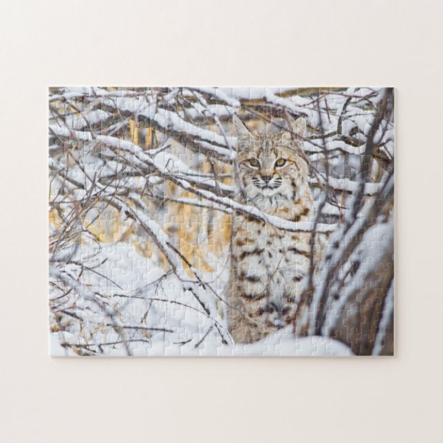 Puzzle EE.UU., Wyoming, Bobcat (Horizontal)