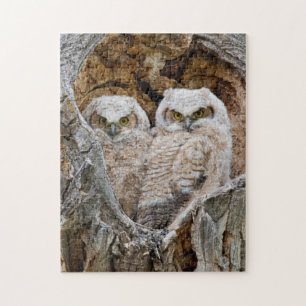 Puzzle EE.UU., Wyoming, Parque Nacional del Gran Tetón