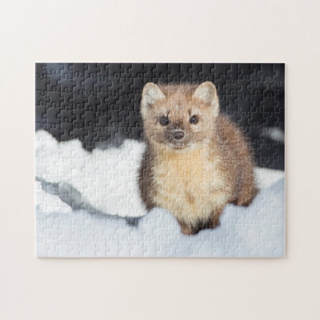 Puzzle EE.UU., Wyoming, Parque Nacional Yellowstone (Horizontal)