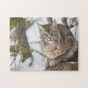 Puzzle EE. UU., Wyoming, Parque Nacional Yellowstone, Lin