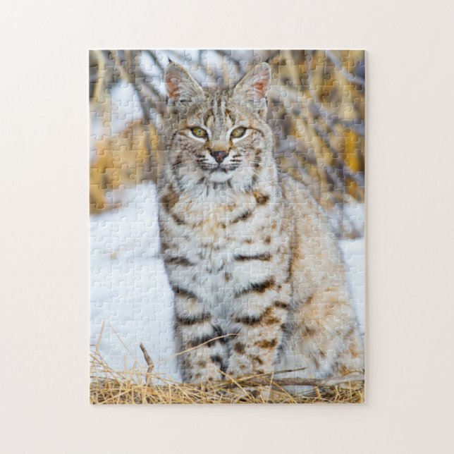 Puzzle EE. UU., Wyoming, Retrato de Lince Rojo (Vertical)