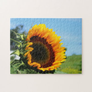 Puzzle Efecto Orton De La Flor Del Sol