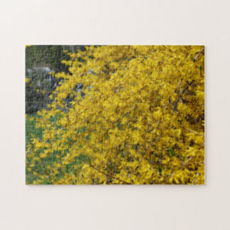 Puzzle Efecto Orton de las flores amarillas de Forsythia