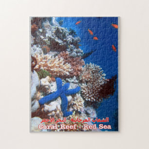 Puzzle Egipto - Mar Rojo - Barrera de Coral -