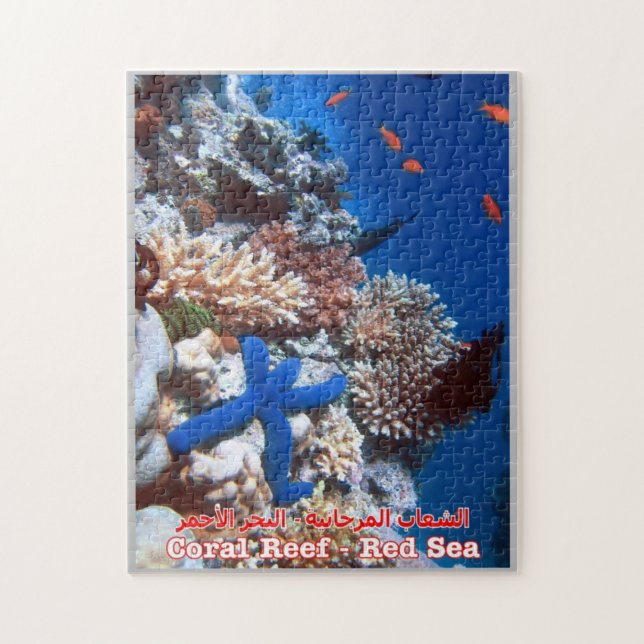 Puzzle Egipto - Mar Rojo - Barrera de Coral - (Vertical)