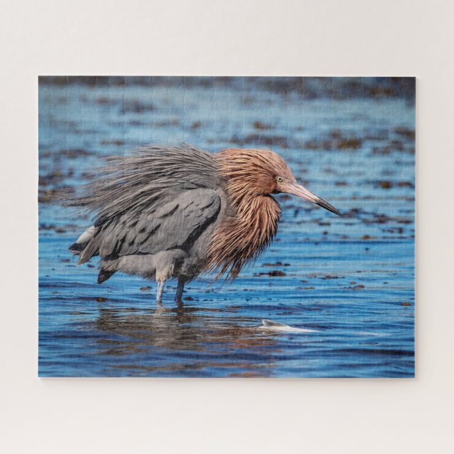 Puzzle Egret Reddish en North Beach (Horizontal)