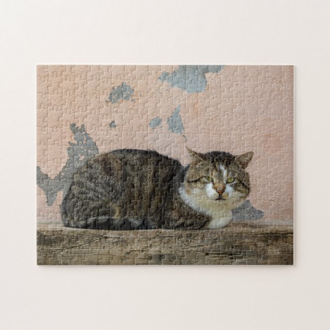 Puzzle Eine Katze vor alter Mauer (Horizontal)