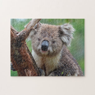 Puzzle El acercamiento de Koala a Jigsaw