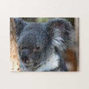 Puzzle El acercamiento de Koala a Jigsaw