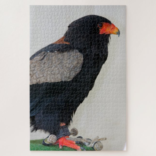 Puzzle El águila de Bateleur (Vertical)