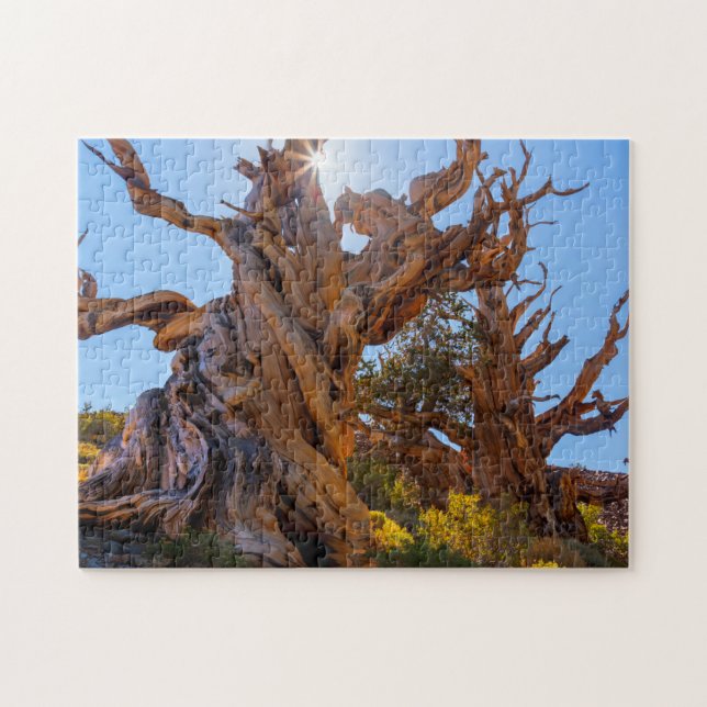 Puzzle El árbol centinela (Horizontal)