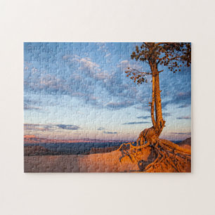 Puzzle El árbol se aferra en la repisa, parque nacional