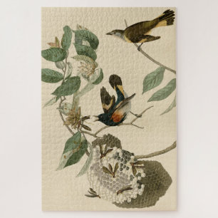 Puzzle El arranque estadounidense de los pájaros de Améri