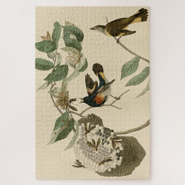 Puzzle El arranque estadounidense de los pájaros de Améri (Vertical)