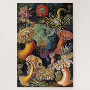Puzzle El arte de la naturaleza de Ernst Haeckel
