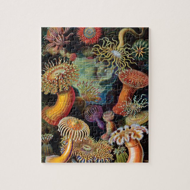 Puzzle El arte de la naturaleza de Ernst Haeckel (Vertical)