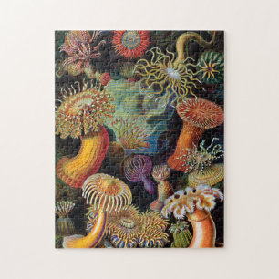 Puzzle El arte de la naturaleza de Ernst Haeckel