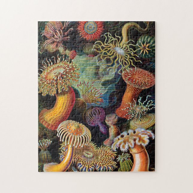 Puzzle El arte de la naturaleza de Ernst Haeckel (Vertical)