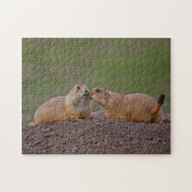 Puzzle el besarse de los perros de las praderas (Horizontal)
