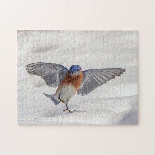Puzzle El Bluebird oriental bailando en la nieve