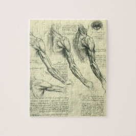 Puzzle El brazo y la anatomía de hombros de Leonardo da V