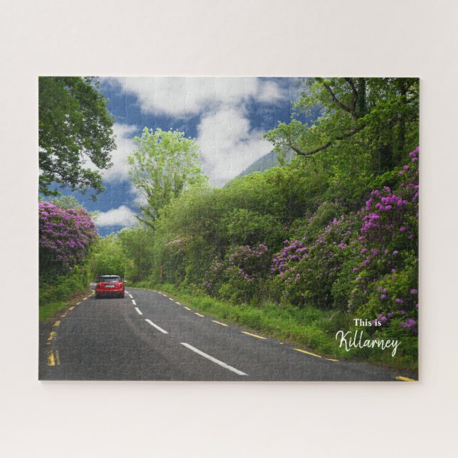 Puzzle El camino a Killarney-Irlanda (Horizontal)