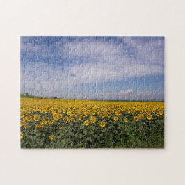 Puzzle El campo del girasol