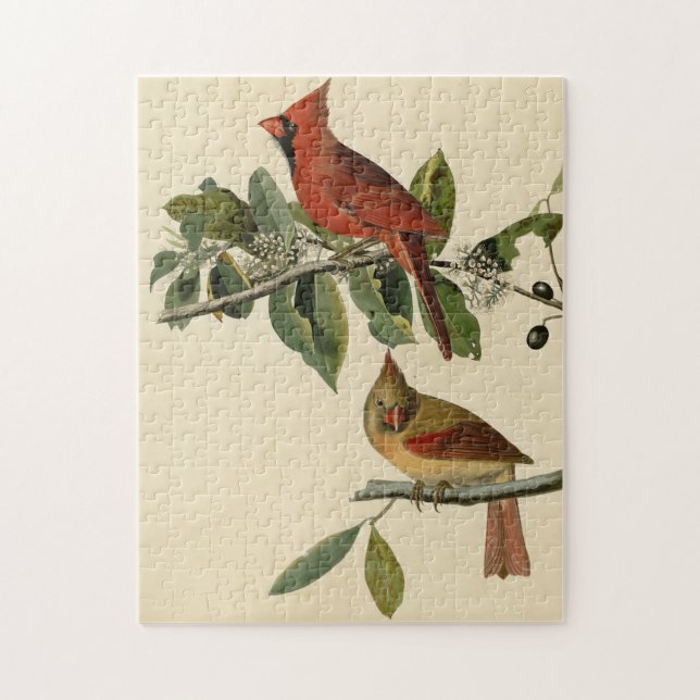 Puzzle El cardenal Grosbeak de los pájaros de América de  (Vertical)