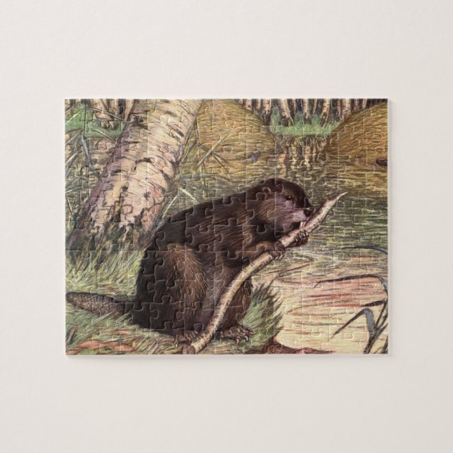 Puzzle El castor de Louis Sargent, animales salvajes de é (Horizontal)