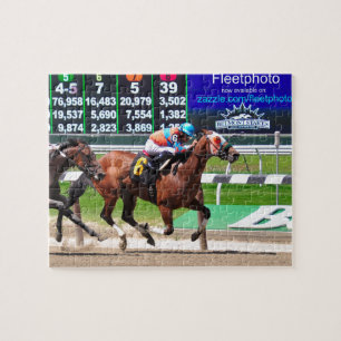 Puzzle El competir con de Belmont Park hermoso