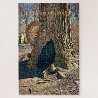 Puzzle El Curioso Vacío