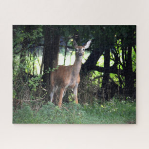 Puzzle El doe blanco emerge de los bosques