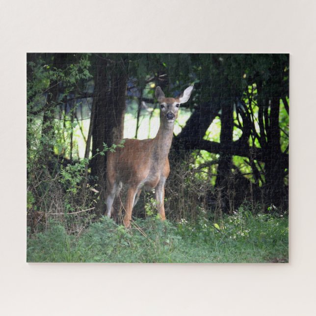 Puzzle El doe blanco emerge de los bosques (Horizontal)