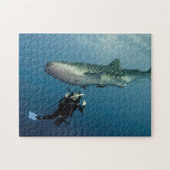 Puzzle ¿El Ducking para la cubierta? (Horizontal)