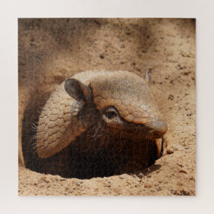 Puzzle El enano Armadillo saludando