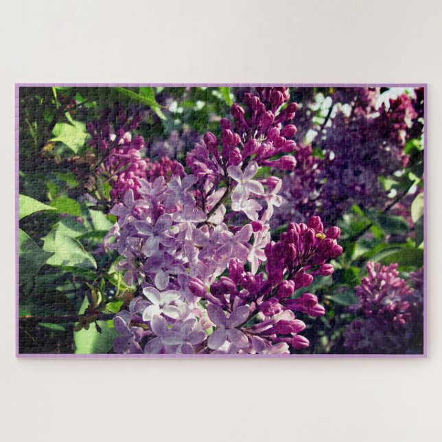 Puzzle El encantador florecimiento de los Lilacs en Ohio  (Horizontal)