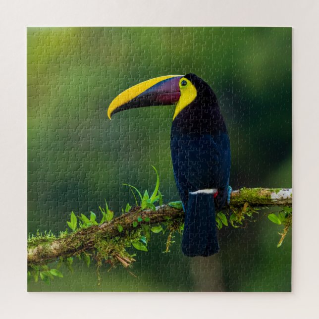 Puzzle El exótico pájaro toscano australiano desafiante (Vertical)