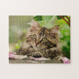 Puzzle El gatito de Maine Coon está en un jardín.