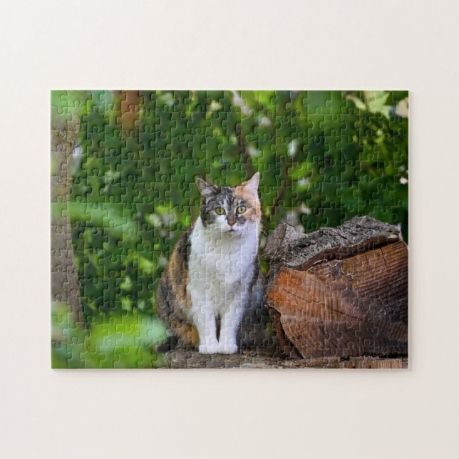 Puzzle El gato (Horizontal)