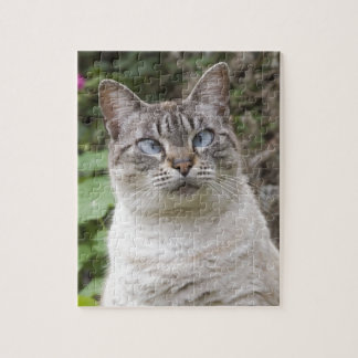 Puzzle El gato bizco