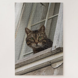 Puzzle El gato de Tabby te observa desde la ventana