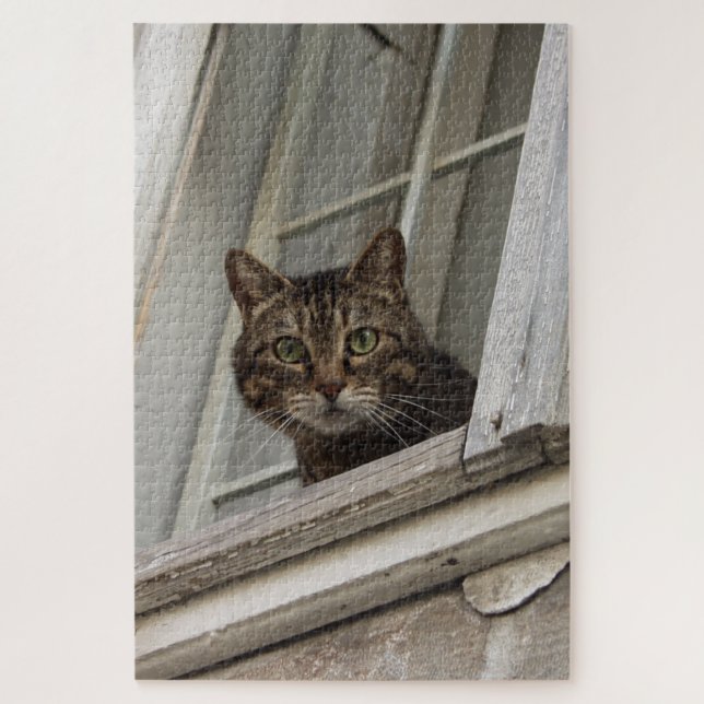 Puzzle El gato de Tabby te observa desde la ventana (Vertical)